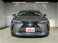 2019 Lexus UX