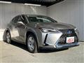 2019 Lexus UX