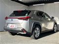 2019 Lexus UX
