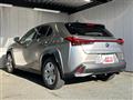 2019 Lexus UX