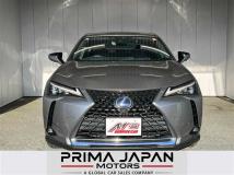 2019 Lexus UX