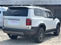 2025 Toyota Land Cruiser