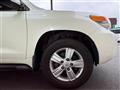 2013 Toyota Land Cruiser
