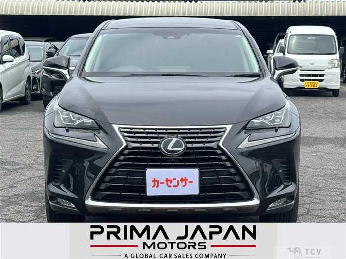 2019 Lexus NX