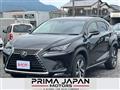 2019 Lexus NX