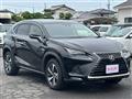 2019 Lexus NX