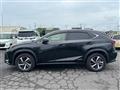2019 Lexus NX