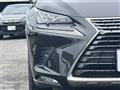 2019 Lexus NX