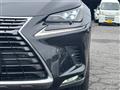 2019 Lexus NX