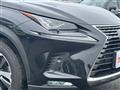 2019 Lexus NX