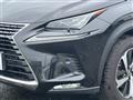2019 Lexus NX