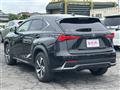 2019 Lexus NX