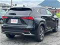 2019 Lexus NX