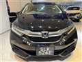 2017 Honda Shuttle