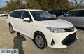 2019 Toyota Corolla Fielder