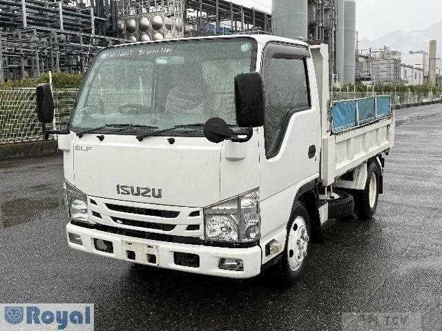 2017 Isuzu Elf Truck