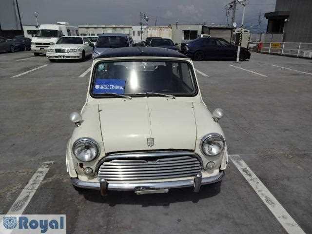 Rover Mini 1991 photo 2