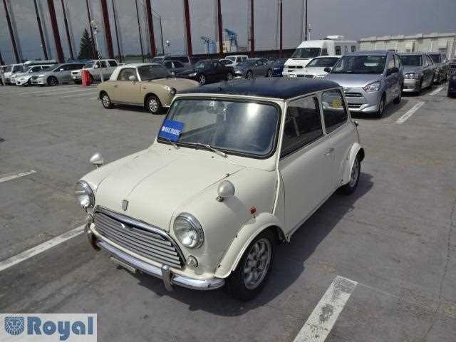 Rover Mini