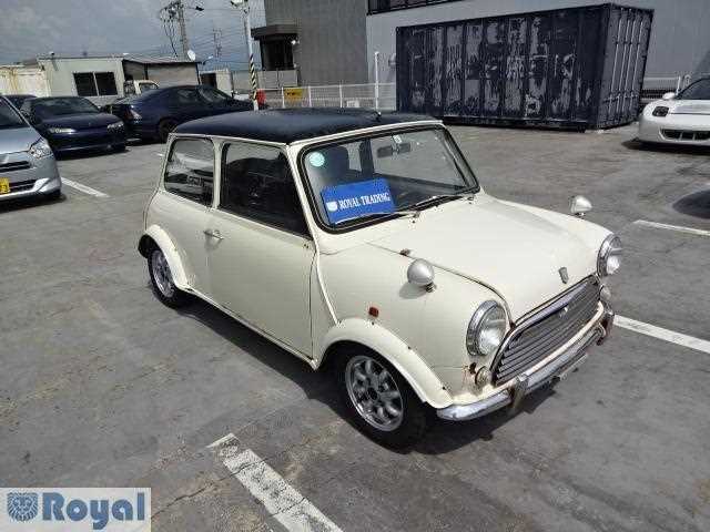 Rover Mini 1991 photo 3