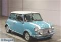 Rover Mini