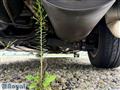 2001 Honda Stream