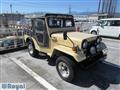 1980 Mitsubishi Jeep