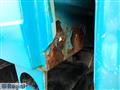 1999 Toyota Dyna Truck