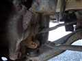 2000 Suzuki Carry Truck
