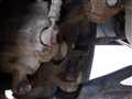 2000 Honda Acty Truck