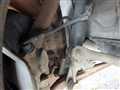 1997 Toyota Crown