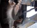 2000 Suzuki Carry Truck
