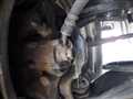 2000 Subaru Sambar Truck