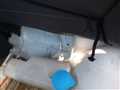 1996 Honda Acty Truck