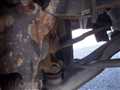 2000 Suzuki Carry Truck