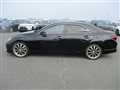 2010 Toyota Mark X