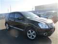 2010 Nissan Dualis