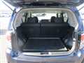 2010 Toyota Corolla Rumion
