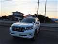 2019 Toyota Land Cruiser Prado