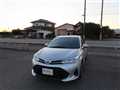 2019 Toyota Corolla Fielder