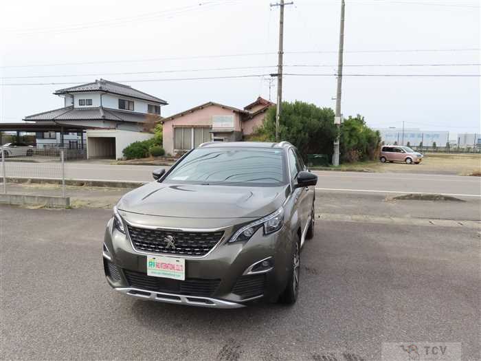 2019 Peugeot 3008
