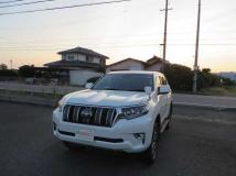 2019 Toyota Land Cruiser Prado