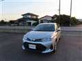 2021 Toyota Corolla Fielder