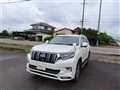 2019 Toyota Land Cruiser Prado