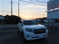 2019 Toyota Land Cruiser Prado