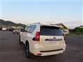 2019 Toyota Land Cruiser Prado