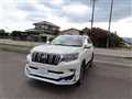 2019 Toyota Land Cruiser Prado