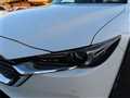2019 Mazda CX-8