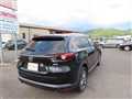 2019 Mazda CX-8