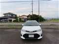 2019 Toyota Corolla Fielder