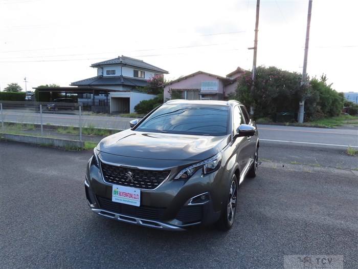 2019 Peugeot 3008